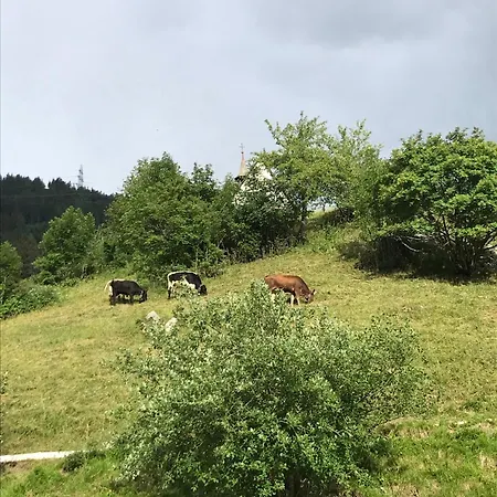 Doxa * Ernen